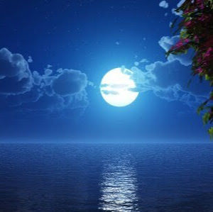 Meet your Posher, Bonnie